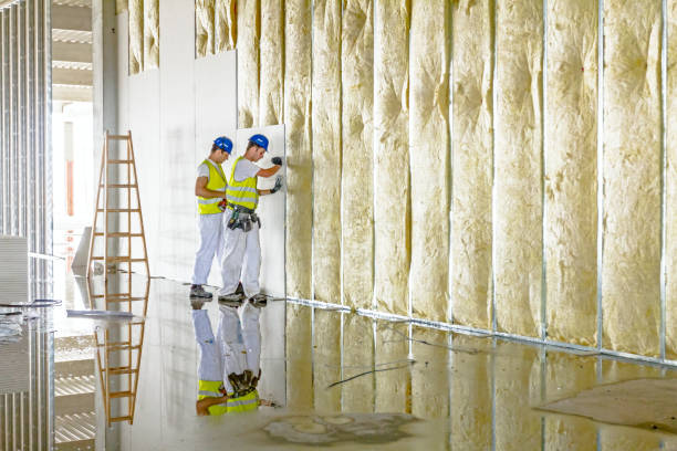 Types of Insulation We Offer in Bull Valley, IL
